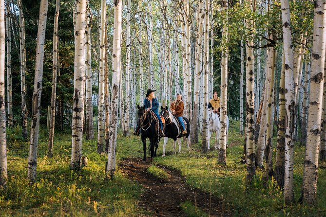 Valley Vista 1.5 Hour Horseback Trail Ride in Kananaskis - Why this route fits a first serious trail ride