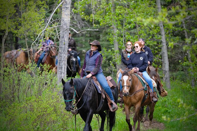 Valley Vista 1.5 Hour Horseback Trail Ride in Kananaskis - Cost, timing, and what you receive