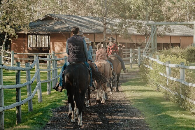 Valley Vista 1.5 Hour Horseback Trail Ride in Kananaskis - Practical planning before you arrive