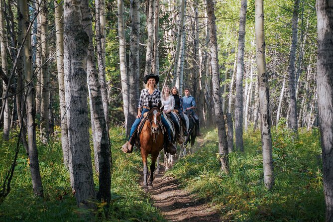 Valley Vista 1.5 Hour Horseback Trail Ride in Kananaskis - The rock cut and the lodgepole pines