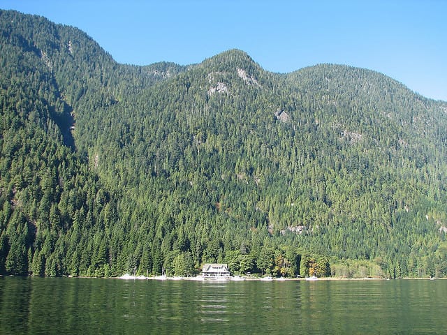 Vancouver Brunch Cruise - Who will enjoy this cruise most?