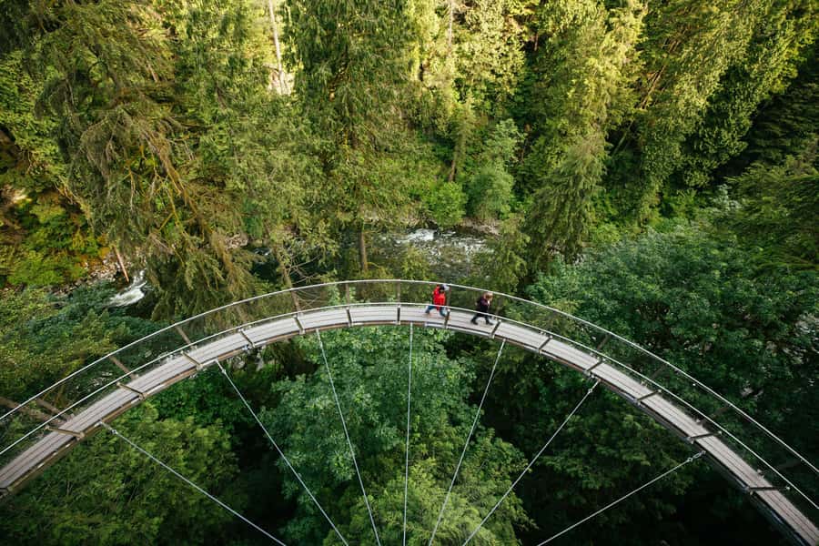Vancouver: Capilano Bridge, Cleveland Dam & Lynn Canyon Tour - Key points to know before you book