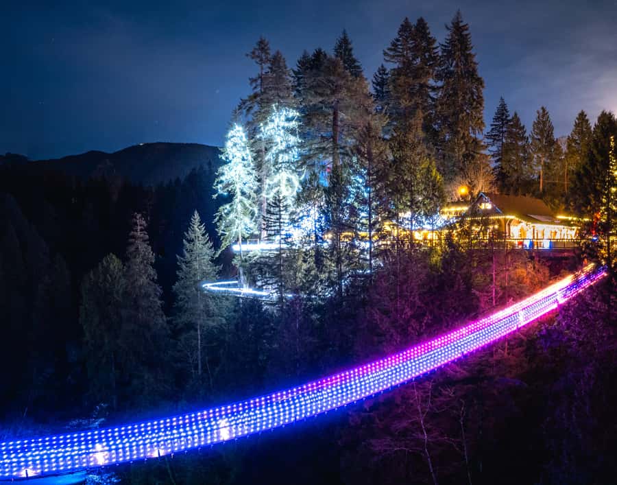 Vancouver: Capilano Bridge, Cleveland Dam & Lynn Canyon Tour - Why this tour works for a first Vancouver visit