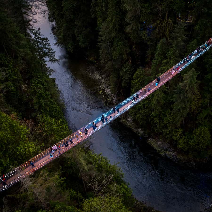 Vancouver: Capilano Bridge, Cleveland Dam & Lynn Canyon Tour - Capilano Suspension Bridge Park supplies the thrill