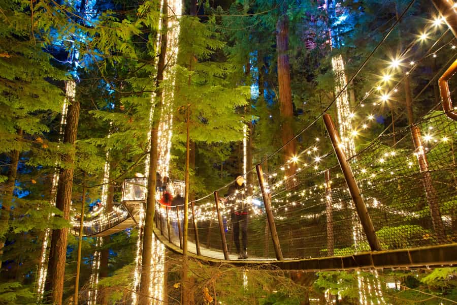 Vancouver: Capilano Bridge, Cleveland Dam & Lynn Canyon Tour - Capilano rainforest and Cleveland Dam slow the pace