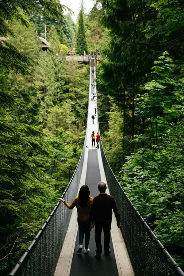 Vancouver: Capilano Bridge, Cleveland Dam & Lynn Canyon Tour - Stanley Park finishes the day with culture and city views