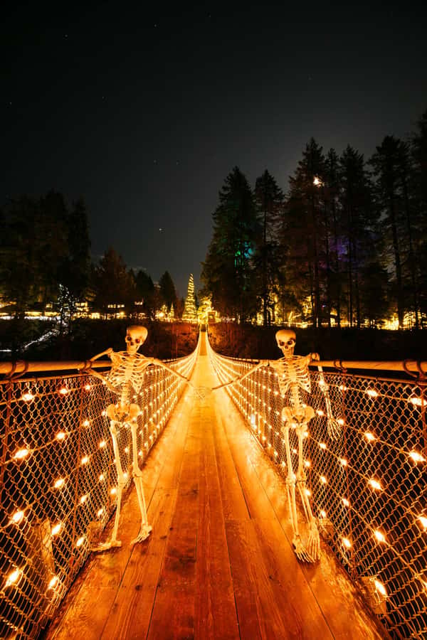 Vancouver: Capilano Bridge, Cleveland Dam & Lynn Canyon Tour - What the guide adds to the experience