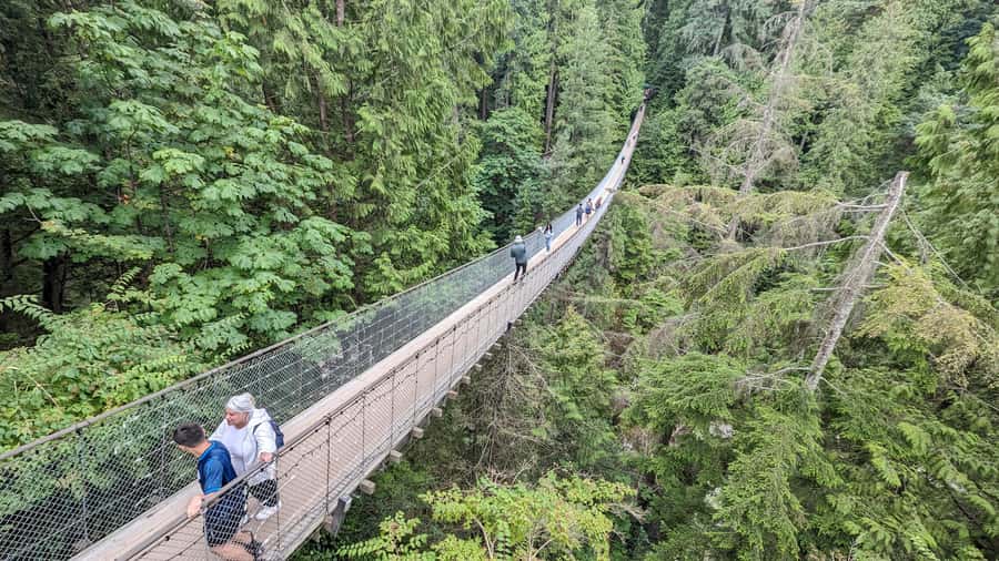 Vancouver: Capilano Bridge, Cleveland Dam & Lynn Canyon Tour - Lynn Canyon brings the first bridge and the quieter walk