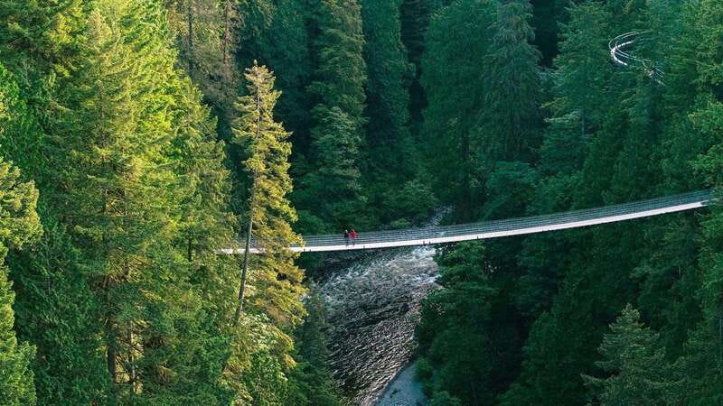Vancouver: Capilano Suspension Bridge Park Ticket - Crossing the Capilano Bridge above the river