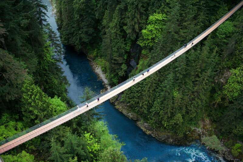 Vancouver: Capilano Suspension Bridge Park Ticket - Treetops Adventure takes you into the canopy
