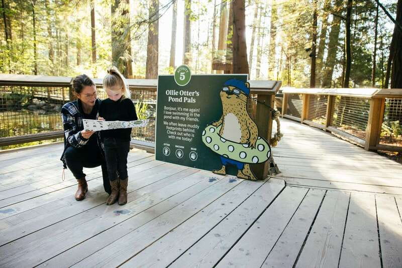 Vancouver: Capilano Suspension Bridge Park Ticket - Rain can improve the rainforest mood