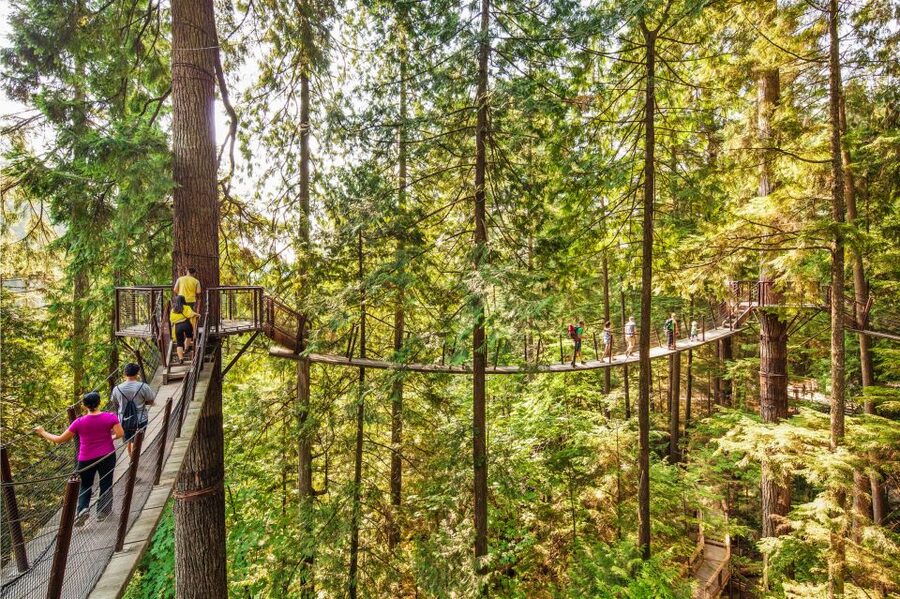 Vancouver: Capilano Suspension Bridge Park Ticket - What the $59 admission is really buying