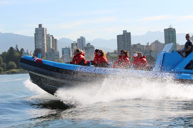 Vancouver City and Seal Colony Scenic Boat Tour - Lighthouse Park and the seal colonies