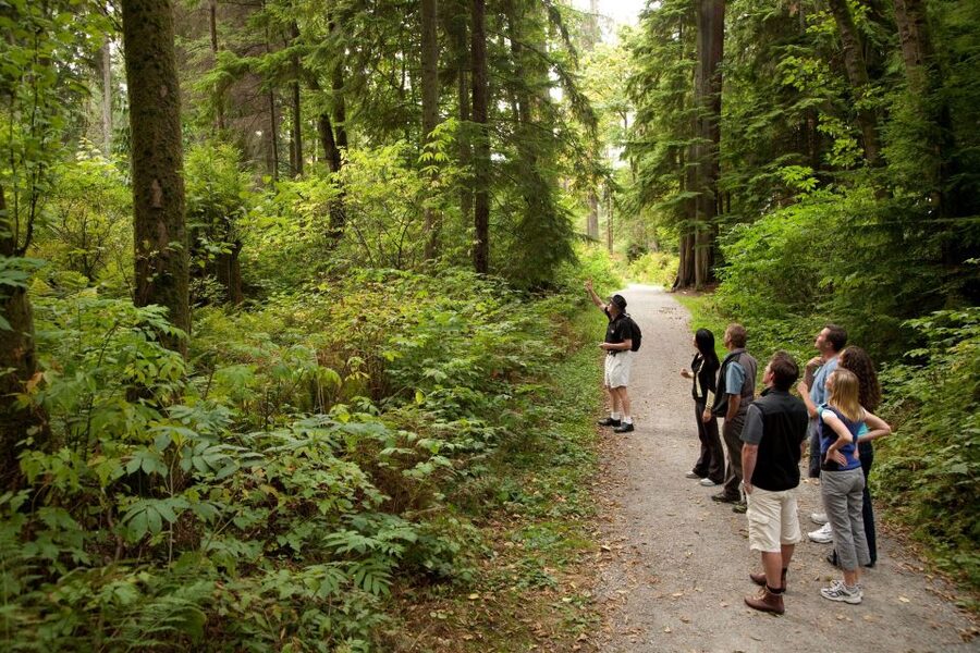 Vancouver: City + Lookout Tour & Option to Add YVR Drop-Off - Transport, comfort and timing