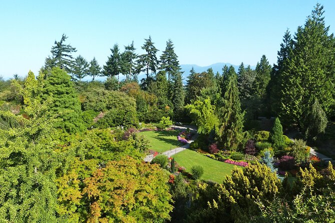 Vancouver City Tour with Admission to Lookout Tower - The coach links English Bay, the West End, and False Creek