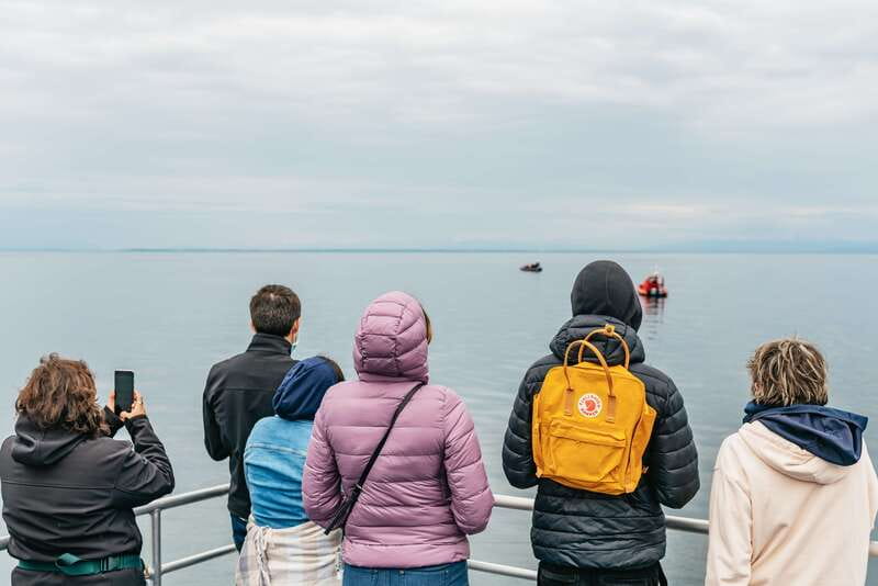 Vancouver: Covered Whale Watching Adventure with Free Photos - Should you book this Prince of Whales tour?