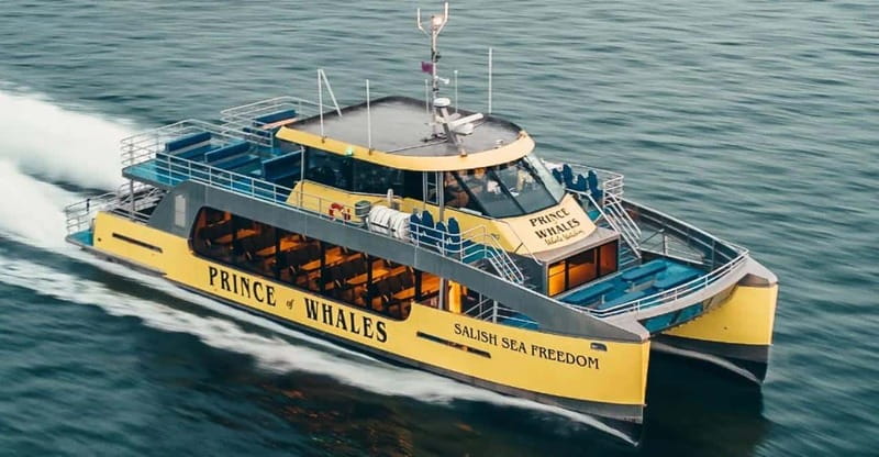Vancouver: Covered Whale Watching Adventure with Free Photos - Outdoor decks, a heated cabin, and weather reality