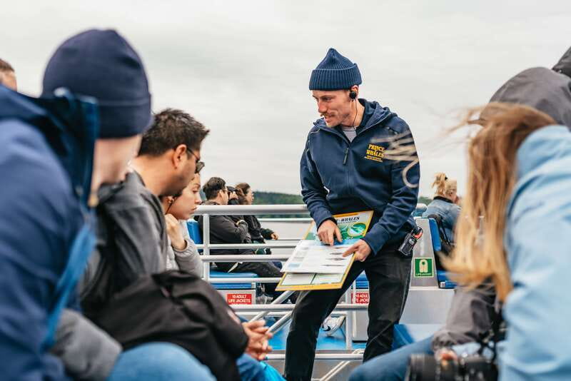 Vancouver: Covered Whale Watching Adventure with Free Photos - Half-day timing or a sunset cruise