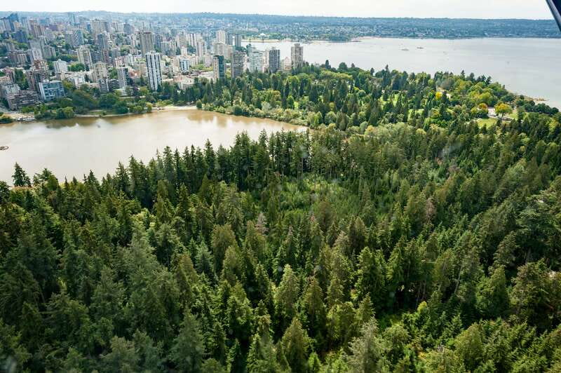 Vancouver: Extended Scenic Panorama Seaplane Tour - Aircraft, seating, and sound