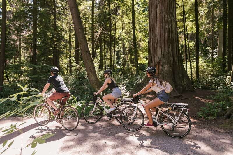 Vancouver: Half-Day City Highlights E-Bike Tour Age 16+ - Why an e-bike is a smart way to see Vancouver