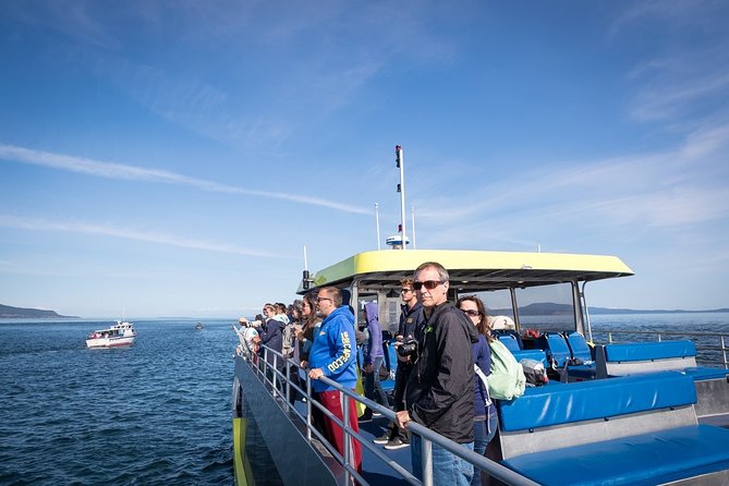 Vancouver Half-Day Whale Watching Adventure with Free Photos - Free photos are more useful than they sound