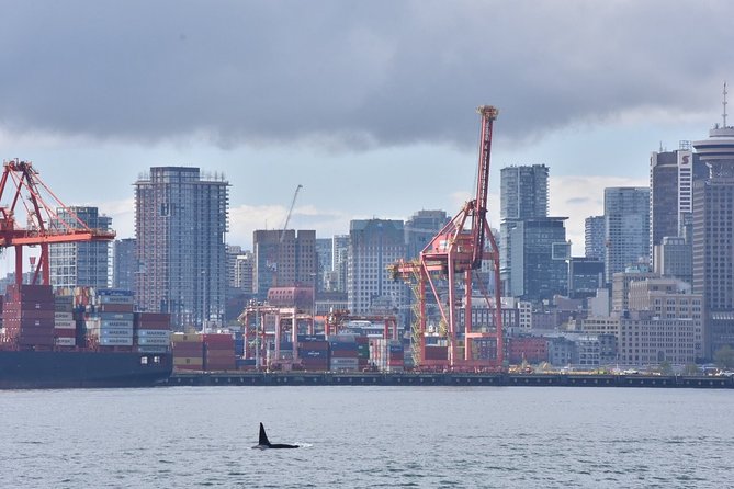 Vancouver Half-Day Whale Watching Adventure with Free Photos - The scenery is part of the main event
