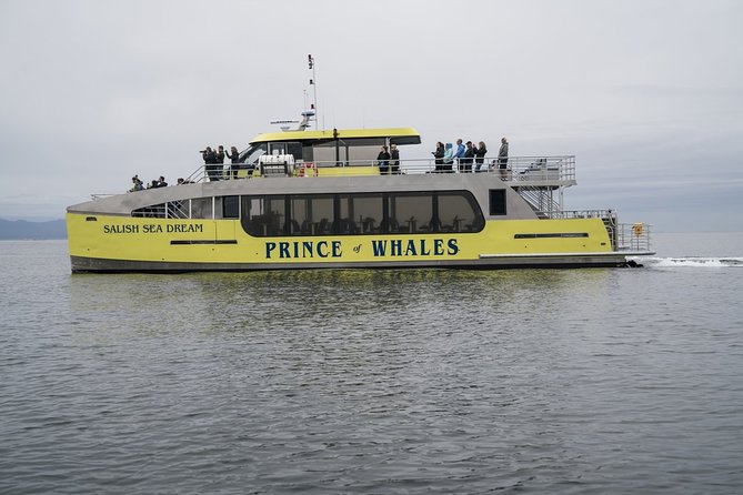 Vancouver Half-Day Whale Watching Adventure with Free Photos - Five hours of searching the Pacific coast