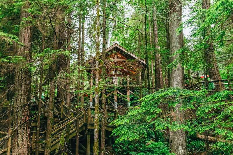 Vancouver Highlights: Capilano Bridge & Granville Island - Is $119 a fair price?