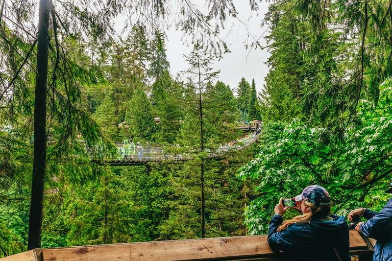 Vancouver Highlights: Capilano Bridge & Granville Island - Ninety minutes at Capilano Suspension Bridge Park