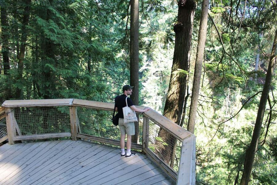 Vancouver Highlights: Capilano Bridge & Granville Island - Downtown Vancouver and Canada Place