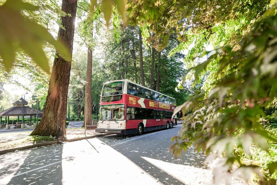 Vancouver: Hop-on Hop-off Sightseeing Tour with 10 Stops - Timing, crowds, and the practical limits