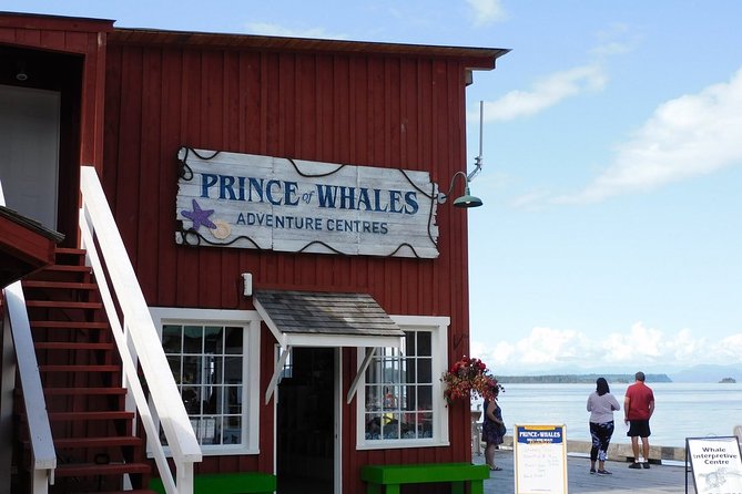 Vancouver Island Half-Day Whale Watching Tour - Telegraph Cove - Guides who make the ride more than a lookout