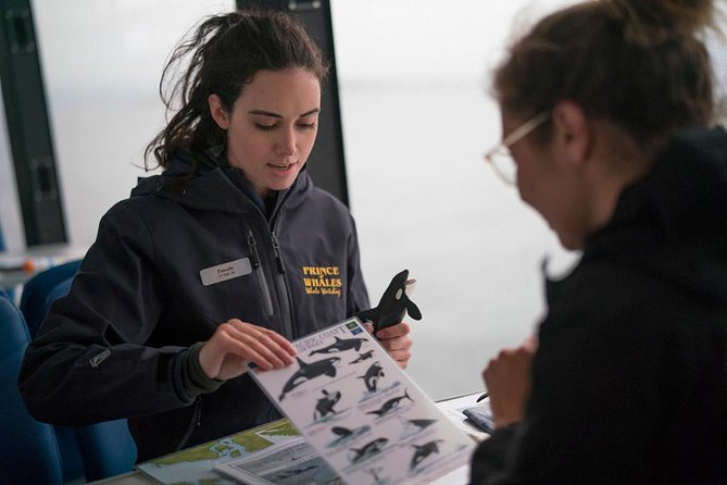 Vancouver Island Half-Day Whale Watching Tour - Telegraph Cove - Comfort, clothing, and family details