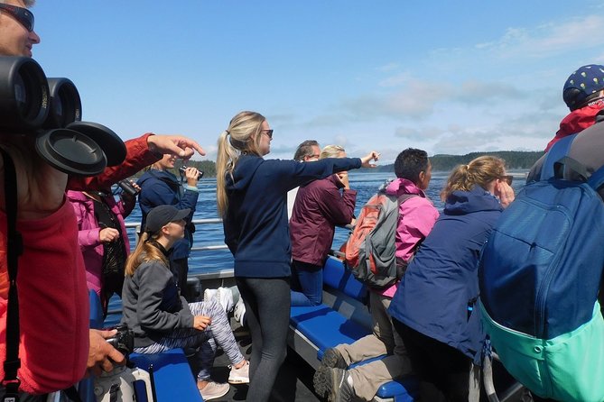 Vancouver Island Half-Day Whale Watching Tour - Telegraph Cove - Photos, guides, and the whale guarantee
