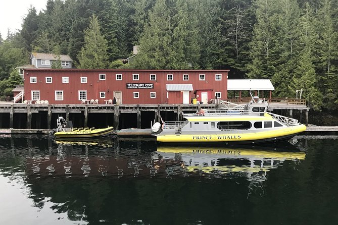 Vancouver Island Half-Day Whale Watching Tour - Telegraph Cove - How the tour handles cancellations