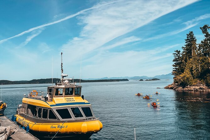Vancouver Island Half-Day Whale Watching Tour - Telegraph Cove - The wildlife you might see