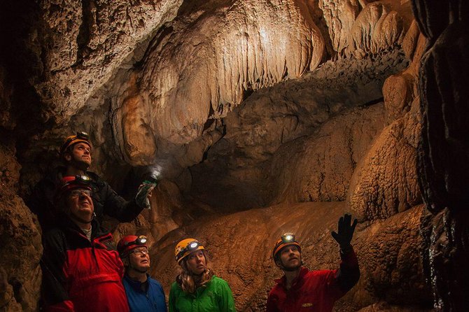 Vancouver Island Multi-Cave Experience - A forest walk that leads somewhere unusual