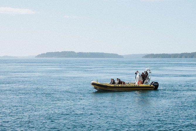 Vancouver Island Zodiac Whale Watching Adventure - Telegraph Cove - Why a small Zodiac changes the experience