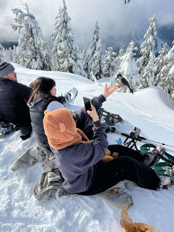 Vancouver: North Shore Mountains Snowshoeing with Transfer - Key details to know before you book