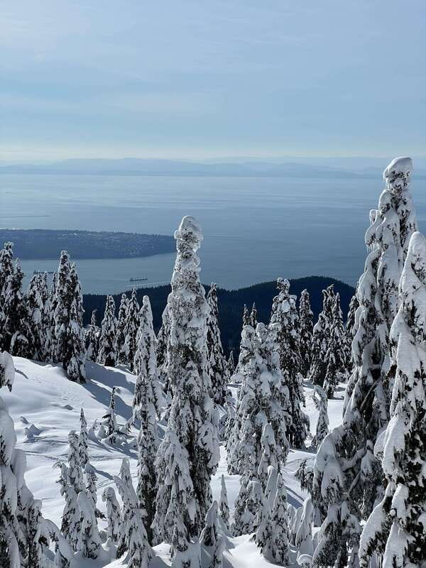 Vancouver: North Shore Mountains Snowshoeing with Transfer - From Vancouver streets to North Shore snow