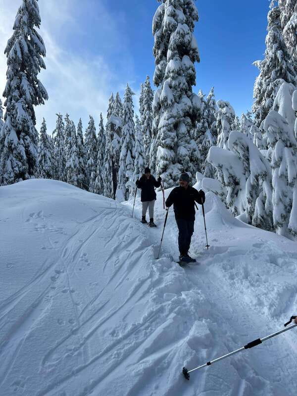 Vancouver: North Shore Mountains Snowshoeing with Transfer - Snowshoeing is exercise, not just scenery
