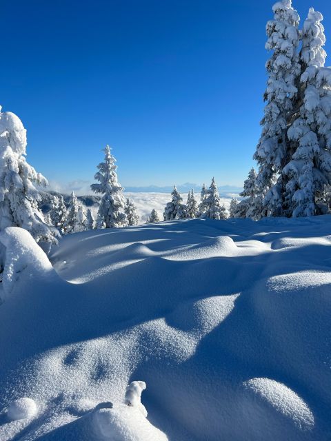 Vancouver: North Shore Mountains Snowshoeing with Transfer - What is included for $109