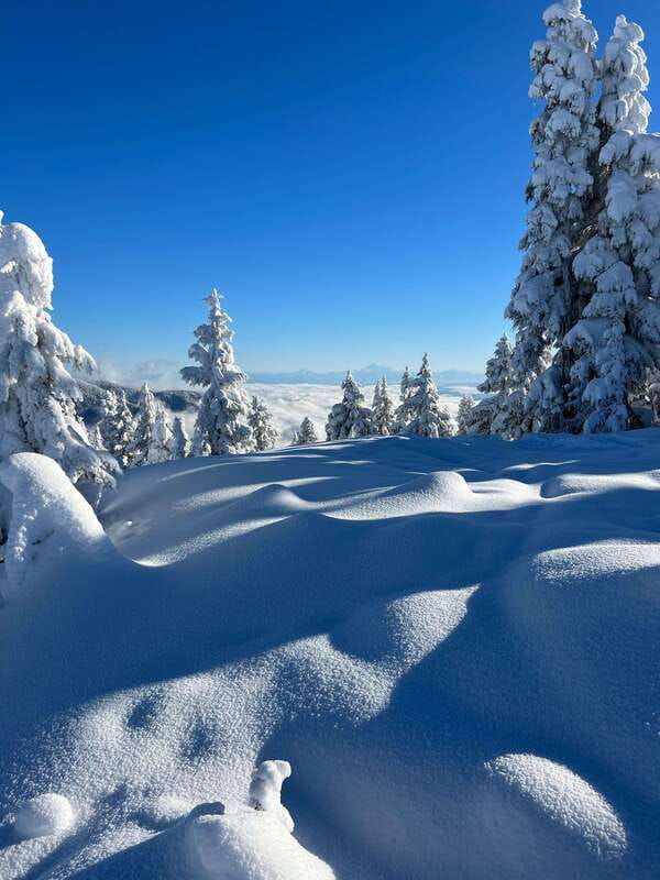Vancouver: North Shore Mountains Snowshoeing with Transfer - Who will get the most from this outing