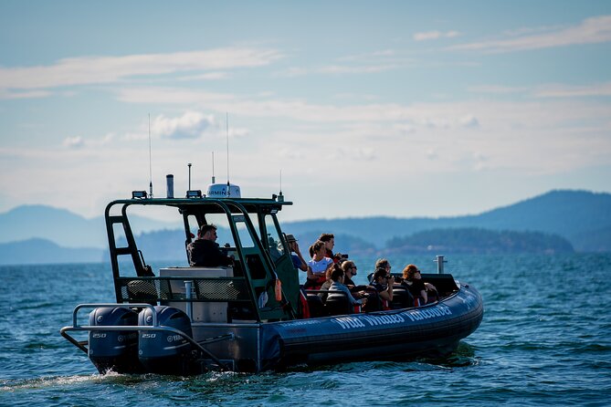 Vancouver's Intimate West Coast Whale Watching Experience - Setting out from Granville Island