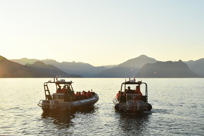 Vancouver's Intimate West Coast Whale Watching Experience - Open boats, zodiacs, and the weather question