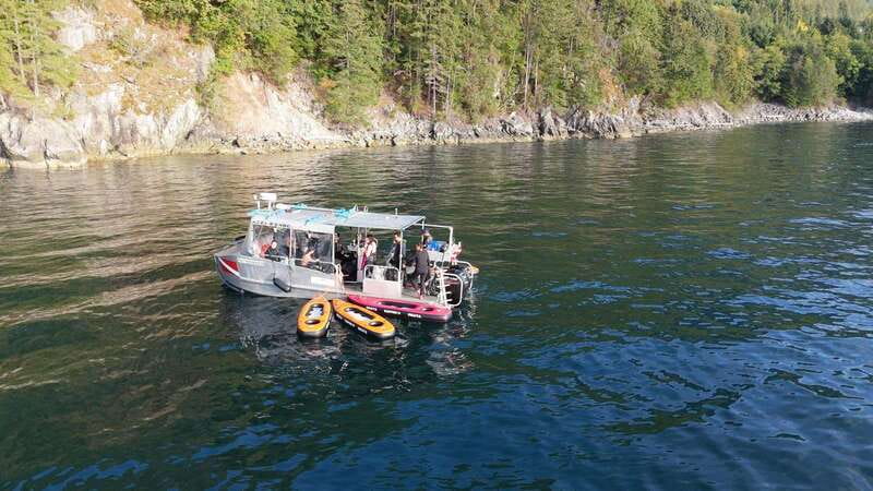 Vancouver: Snorkeling Seals Kayaking Scenic Boat Tour - A Small Boat and a Comfortable Pace