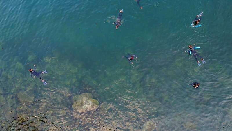 Vancouver: Snorkeling Seals Kayaking Scenic Boat Tour - What the $66.72 Price Really Covers