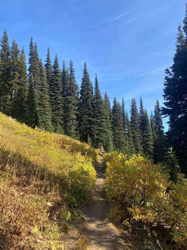 Vancouver/Squamish: Garibaldi Park Panorama Ridge Hike - Key points to know before booking