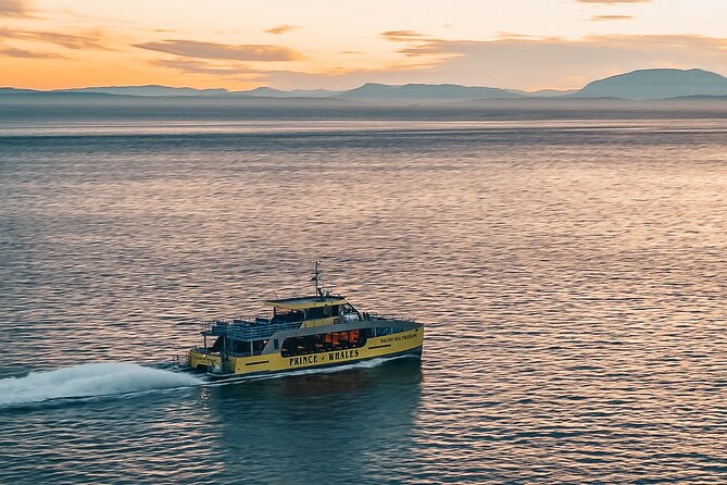 Vancouver Sunset Whale Watching Adventure with Free Photos - Leaving Granville Island on the Salish Sea Catamaran