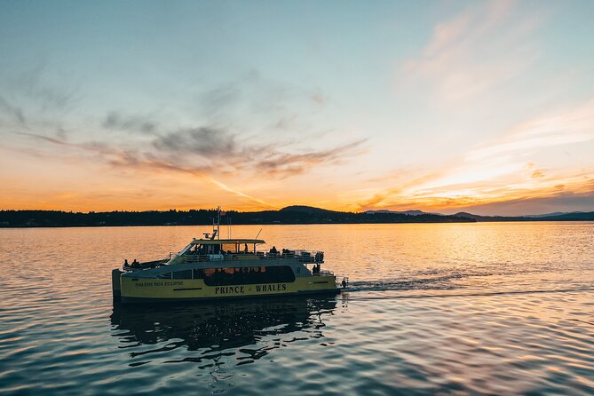 Vancouver Sunset Whale Watching Adventure with Free Photos - The sunset promise needs careful reading
